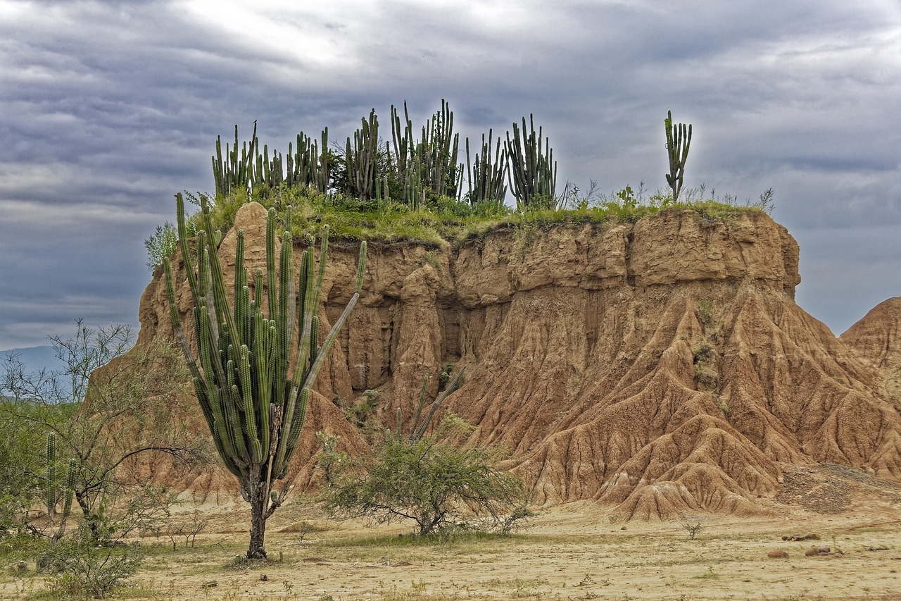 colombia, tatacoa desert, desert-4896184.jpg